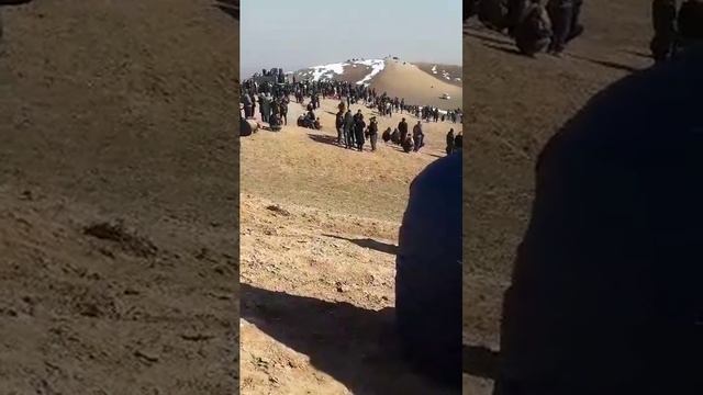 аспи анасчон човандоз асп бо лакаби номус смотреть онлайн