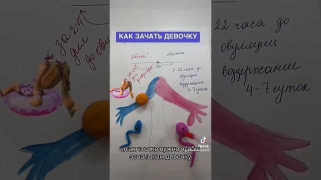 Как зачать девочку ???? смотреть онлайн
