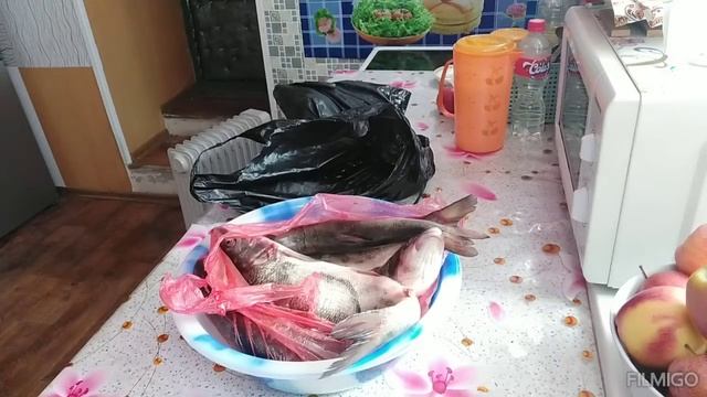 НАКУПИЛИ РАЗНОЙ РЫБЫ // ВКУСНАЯ РЫБА // смотреть онлайн