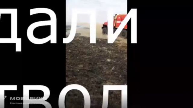 видео 262 смотреть онлайн