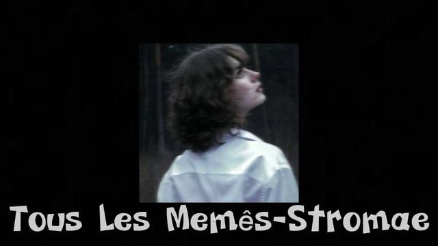 Stromae-Tous Les Memês (Sped Up) 🦋 смотреть онлайн