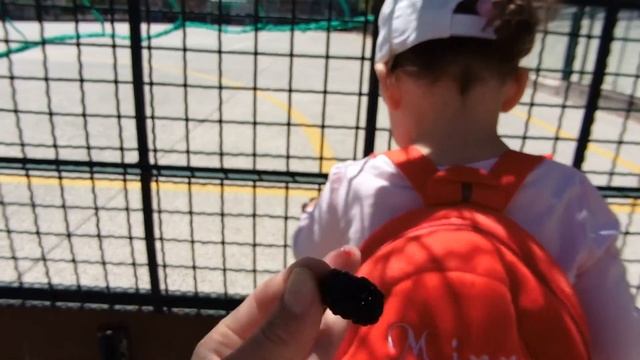 Шелковица поспела смотреть онлайн