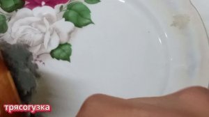 сазан карась лещ будут твои