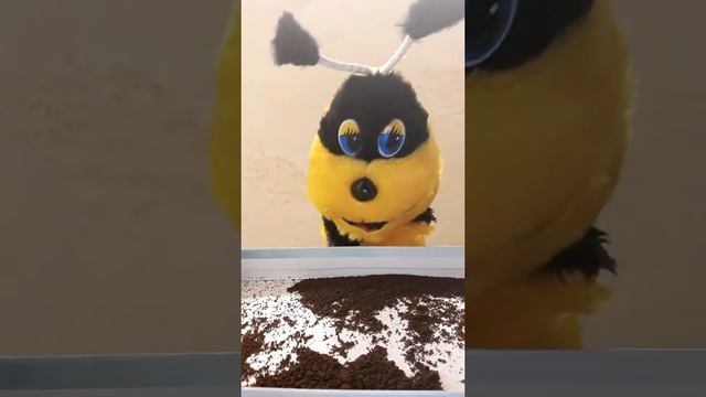 5 Игра Кофейный экранчик