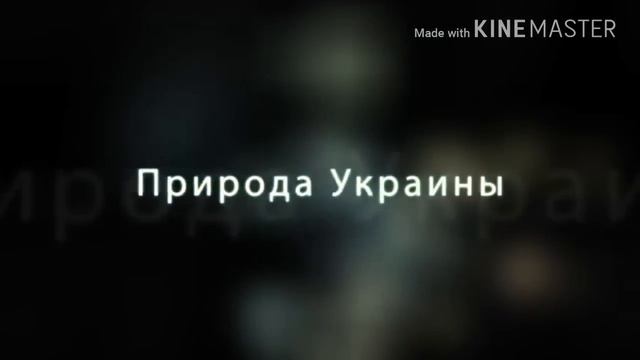 Казахстан vs Украина по природе! смотреть онлайн