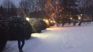 Владимир Крижановский,, Зимний сад,,