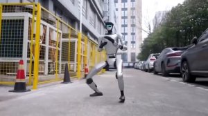 Китайское робот Кунг-фу