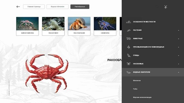 Природа Приморского края. Информационный софт с играми для сенсорного стола. смотреть онлайн