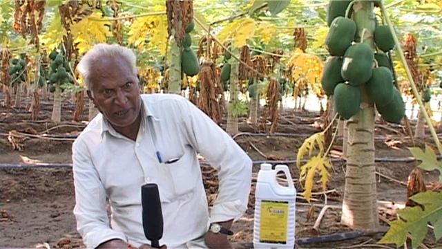 In Gujarati_Papaya Farmer (N-Guard) смотреть онлайн