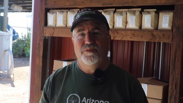 The Business of Commercial Black Soldier Fly Larvae Production смотреть онлайн