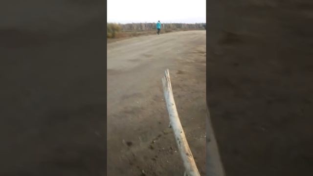 20 сентября 2019 г. смотреть онлайн