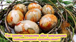 Как очень красиво 😍 покрасить яйца на Пасху природными (натуральными) красителями⁉️ #топыкатегорий