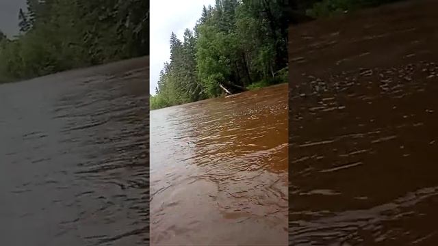 Проверяем в большую воду болотоход👍👍👍 смотреть онлайн