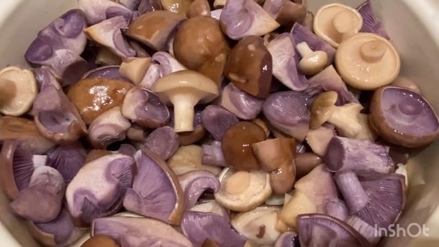 Gourmet Love Stories