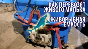 Как перевозят живого малька - живорыбная ёмкость. УЗВ.