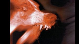 FRONT 242 - ONE (with the fire / reverse)