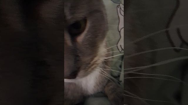 1000020856.mp4 смотреть онлайн