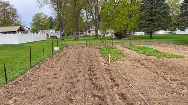 Rabbit Fencing Around Our Garden and Planting Beans смотреть онлайн