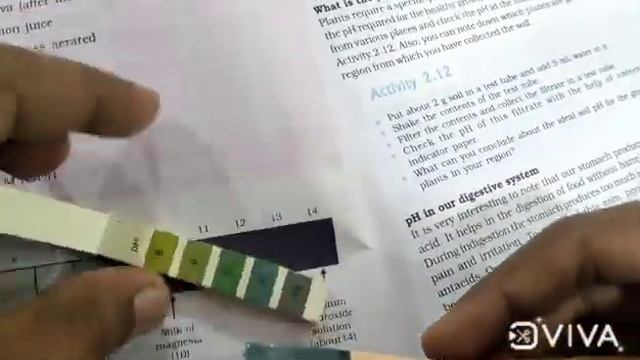 10th CBSE: Chemistry (PH checks on Con HCl 1M & Caustic Soda 1M with PH Paper) смотреть онлайн