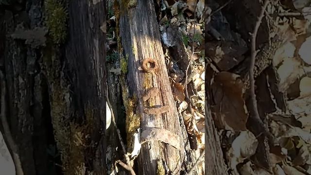 Коп нокта макро симплекс смотреть онлайн