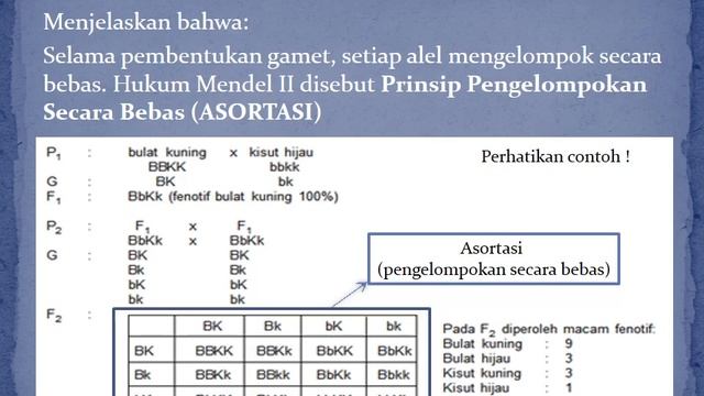 Genetika dan Hereditas Pendalaman Materi IPA смотреть онлайн