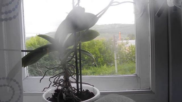 Ночью этой... смотреть онлайн