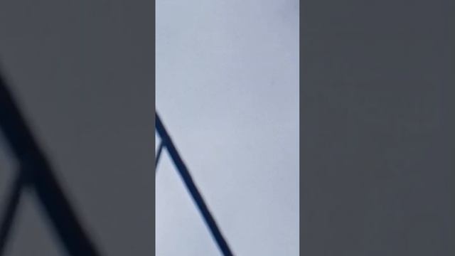 1.ч. Николаевские Голуби. 11.03.2024.г. Бизон. А. 🎥🕊️🇷🇺