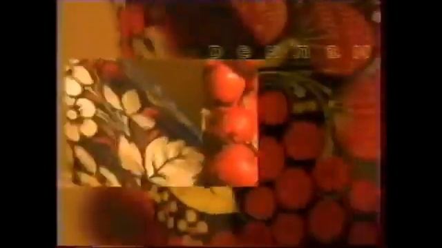 Перед и послерекламная заставка (РТР, 1998-1999) Рябина смотреть онлайн