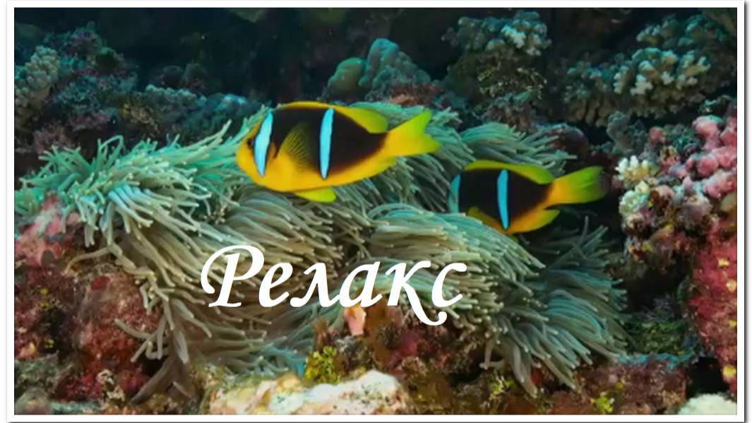 Рыбки и музыка для отдыха, сна, медитации