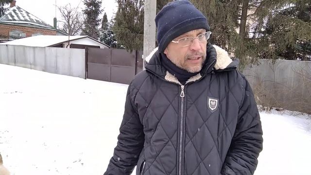 Привязки. смотреть онлайн