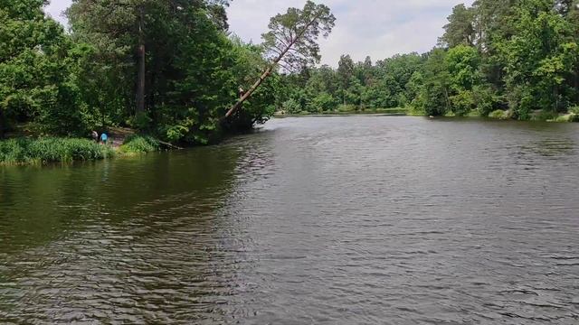 Пуща Водица. Прыжок с тарзанки в воду.