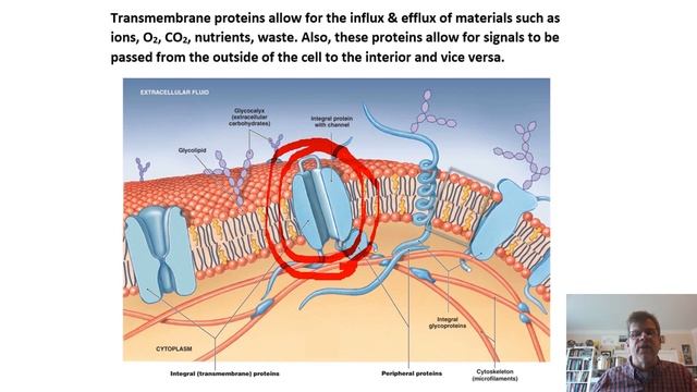 Biochemistry Lecture 5