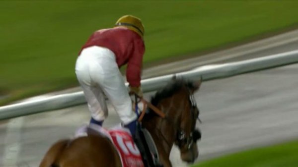 DUBAI RACING CARNIVAL - EMIRATES SUPER SATURDAY 1ST MARCH 2025