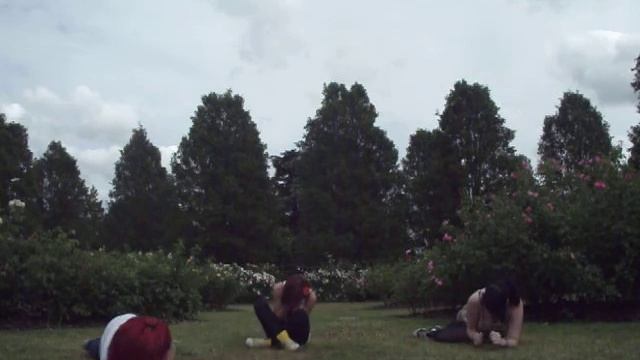 pink panther FAIL смотреть онлайн