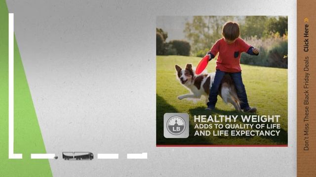 Top Black Friday Science Diet Dog Food Deals: Hill's Science Diet Sensitive Stomach & Skin Dog Food смотреть онлайн