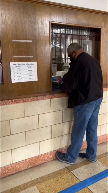 Cat and Turtle are best friends. 🐱 🐢 # shorts Vlogmas 13 #vlogmas #cat #turtle #reels смотреть онлайн