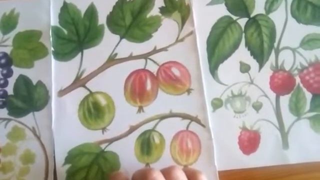 Закрепляем знание ягод смотреть онлайн