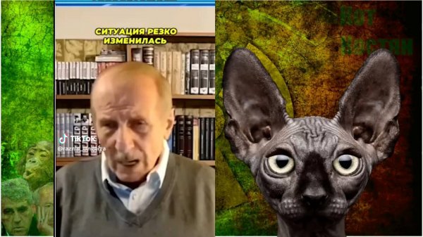 Ситуация резко изменилась / Кот Костян