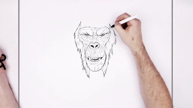 How To Draw Skar King | Step By Step | G X K New Empire смотреть онлайн