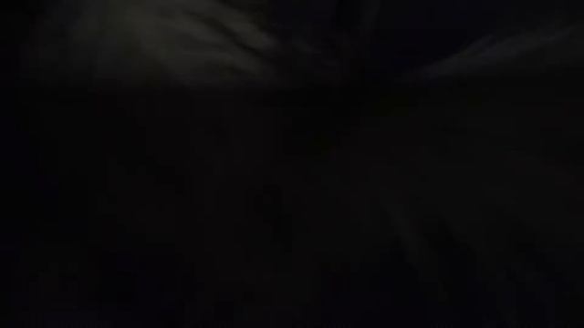 Котята Карапузики смотреть онлайн