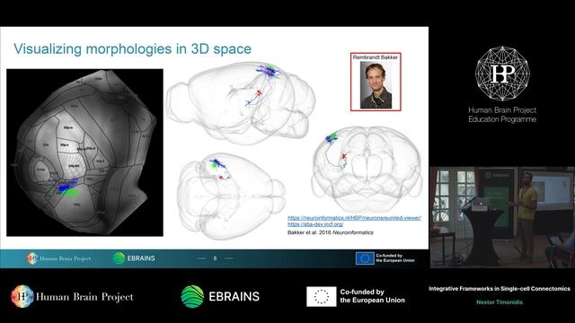 Nestor Timonidis - Integrative Frameworks in Single-cell Connectomics смотреть онлайн