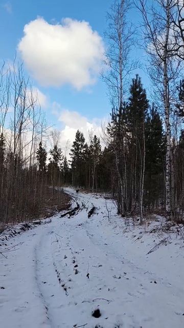 Где то  пришло лето а где-то вернулась зима...)))