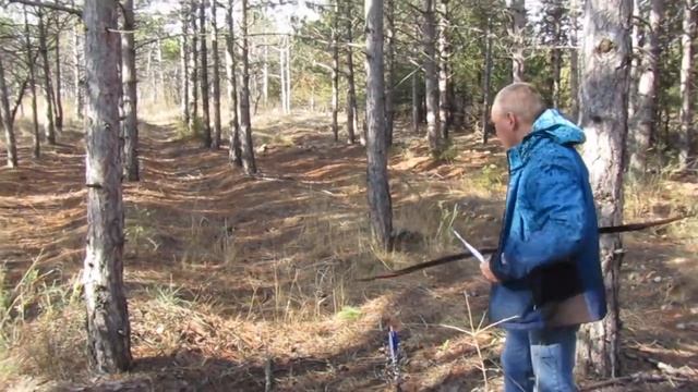 из лука в лесу. постреляшки смотреть онлайн
