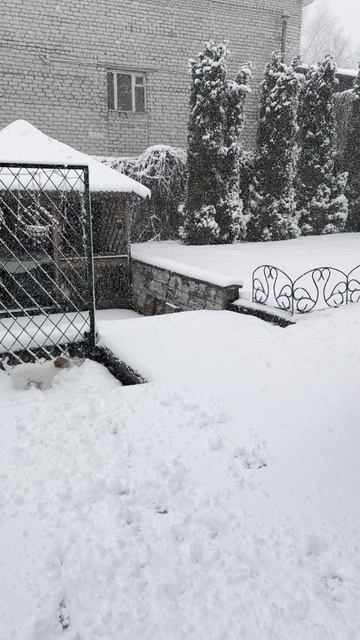 После +20 выпал снег))