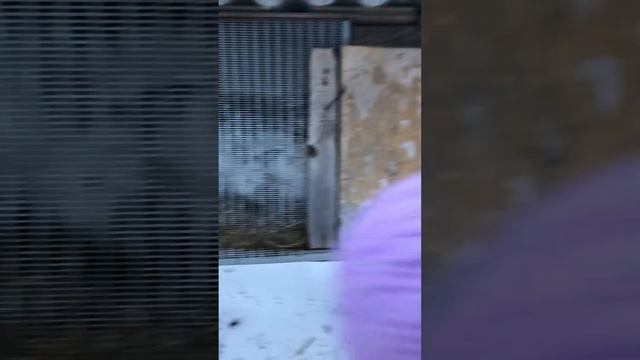 28 January 2024 смотреть онлайн