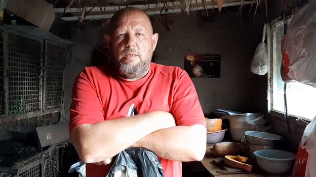 Нутрия. Второй шанс. смотреть онлайн