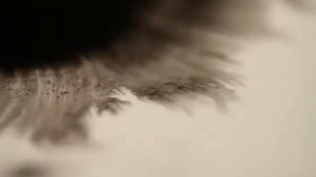 20 water ink Solidaretes International смотреть онлайн