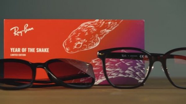 Очки Ray Ban Snake