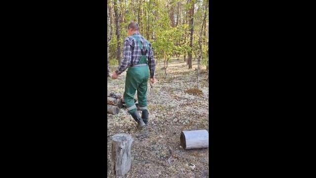 Прогулка по лесу смотреть онлайн