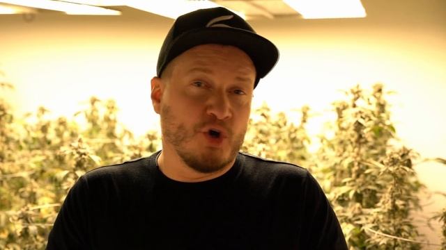 Ask An Expert - Bud Ignitor VS Bud Blood смотреть онлайн